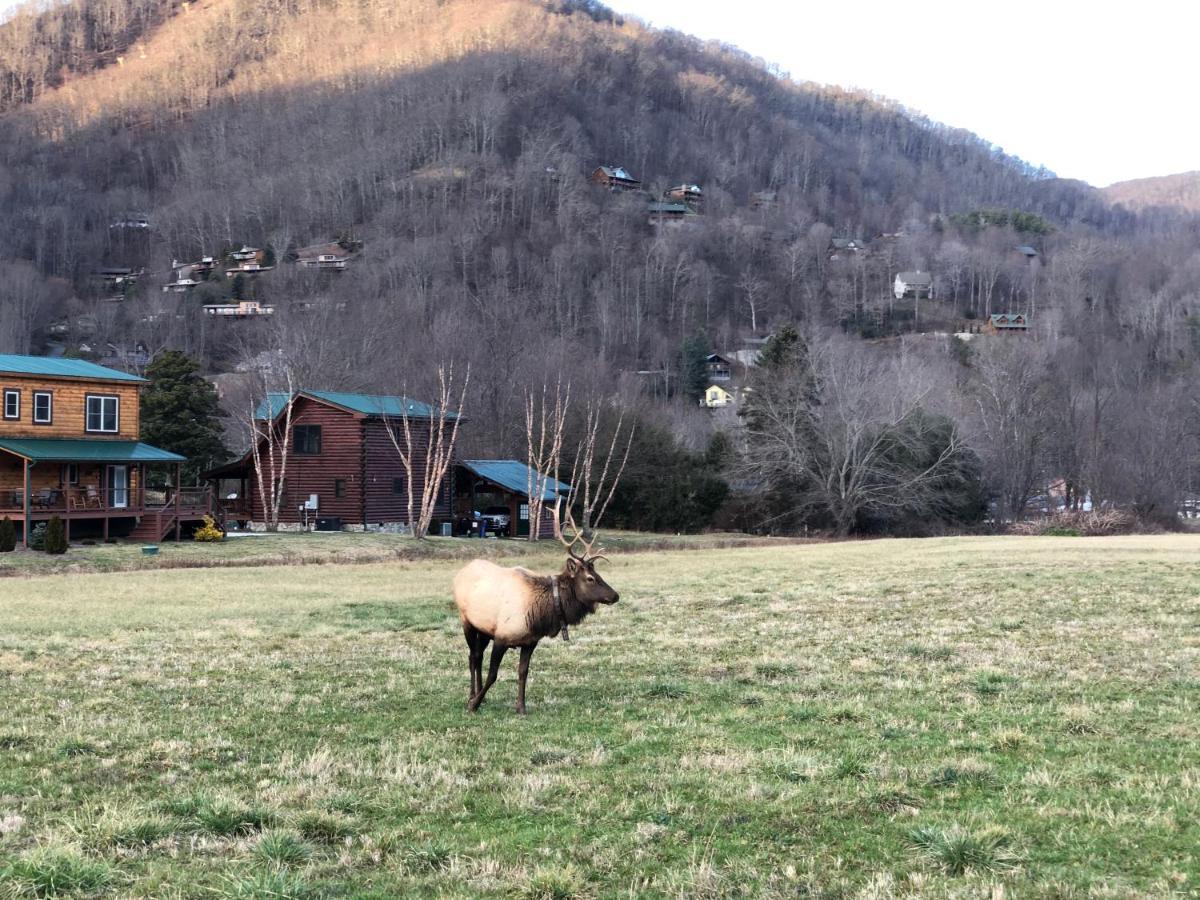 فيلا ماجي فاليفي The Red Fox Cabin المظهر الخارجي الصورة
